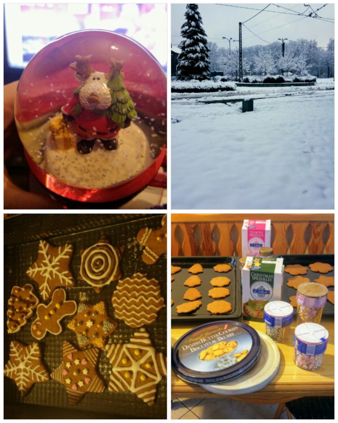 180113_204649_COLLAGE-1