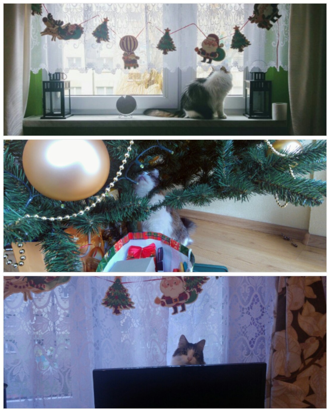 180113_204822_COLLAGE-1
