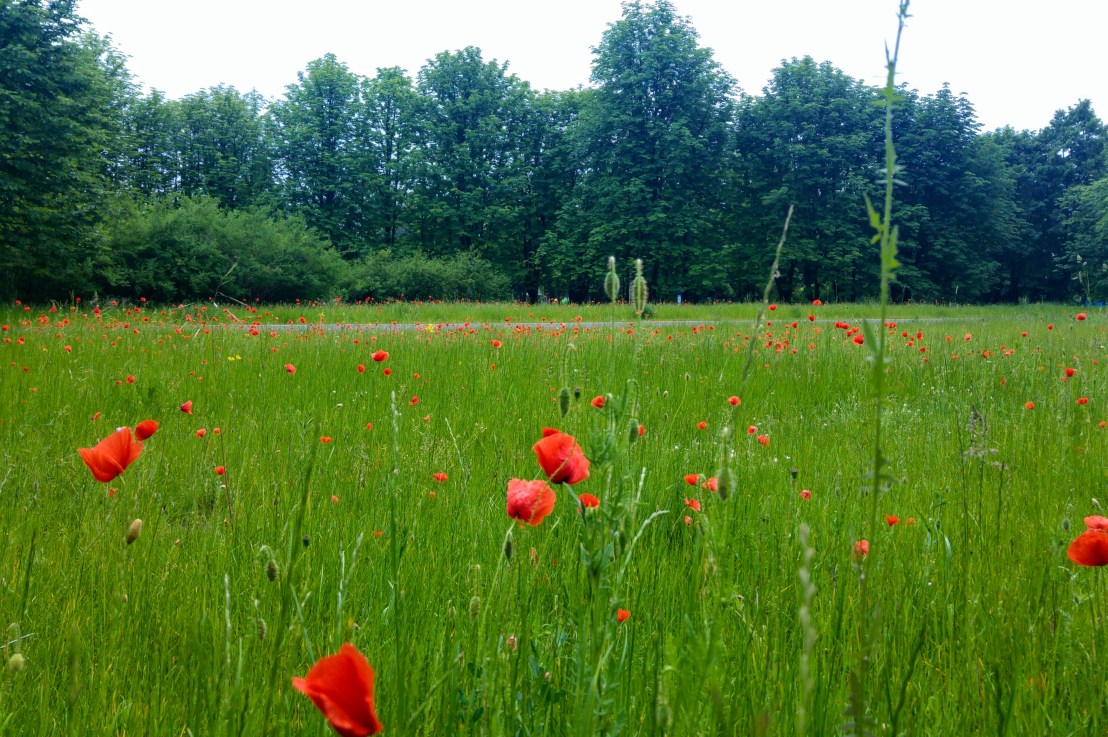 About the comeback. Hi&nbsp;(again!)