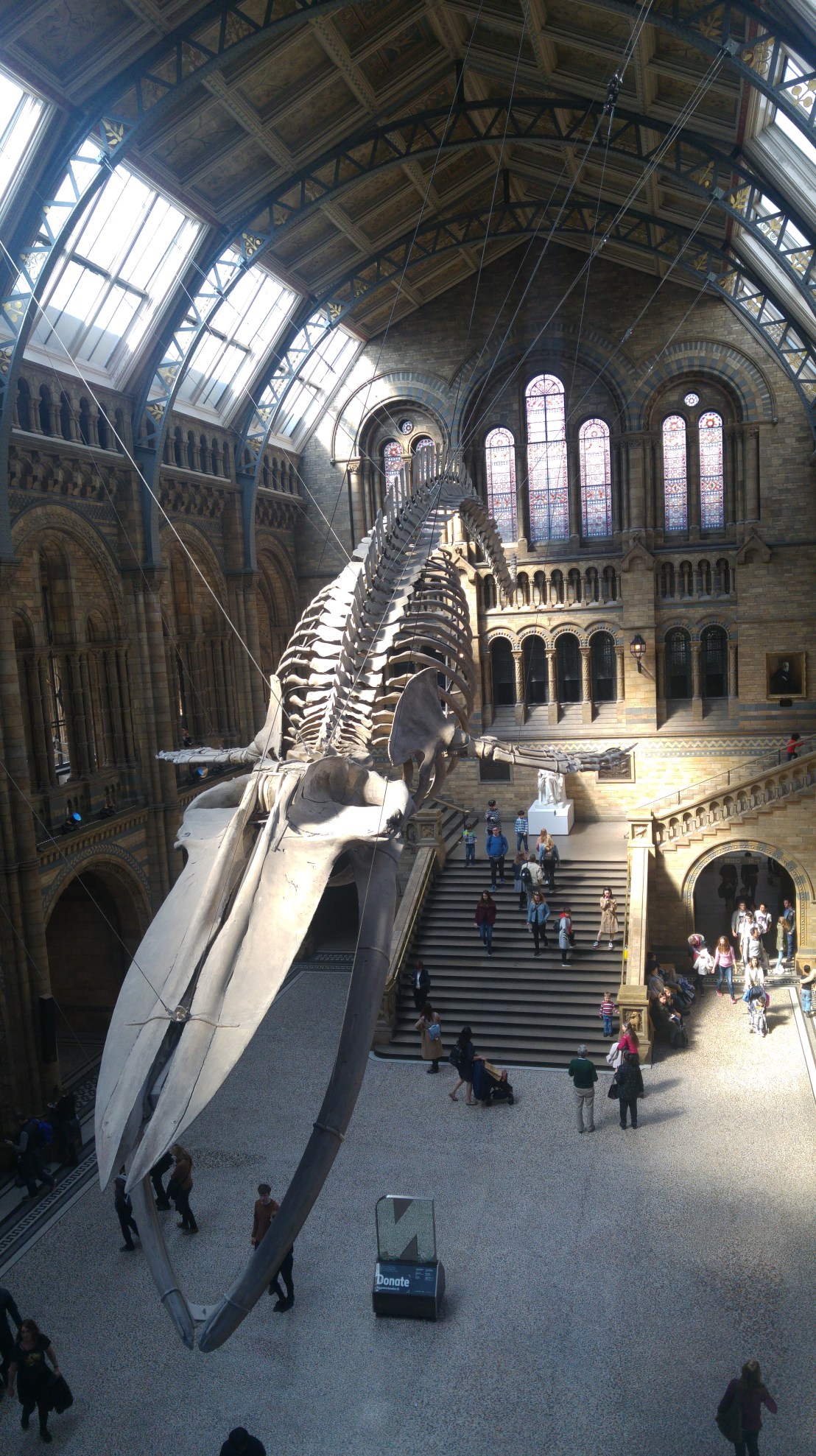 London trip - Natural History Museum