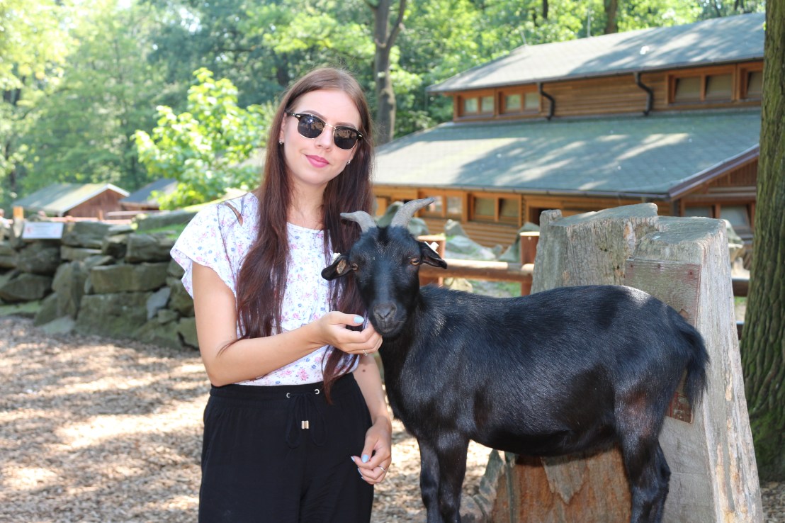 Posing with a small, black goat in a pet zoo in Ostrava