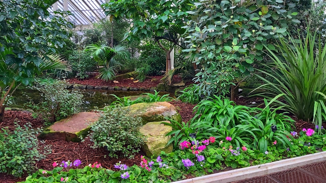 An indoor pond surrounded by plants in Kew Gardens