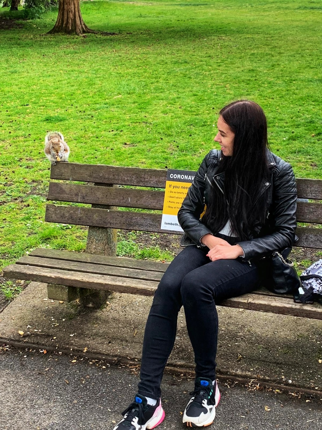 A red squirrel on a bench next to a woman - Ruskin Park, London