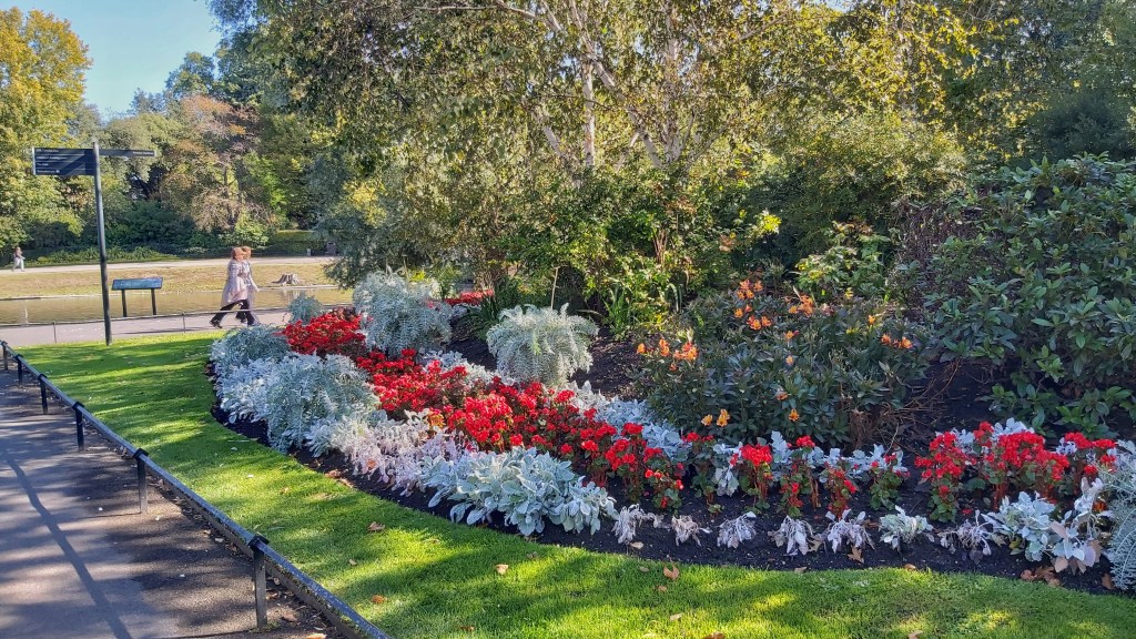 Colourful flowers in Regent's Park in London