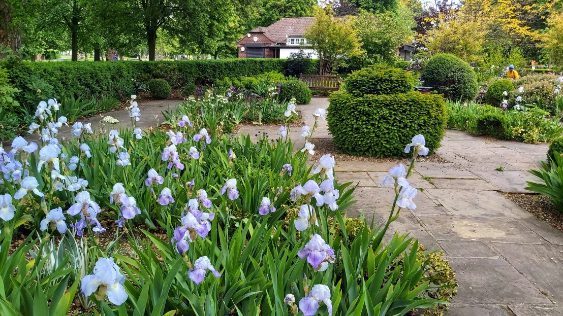 London parks - West Ham Park - purple flowers and a hut