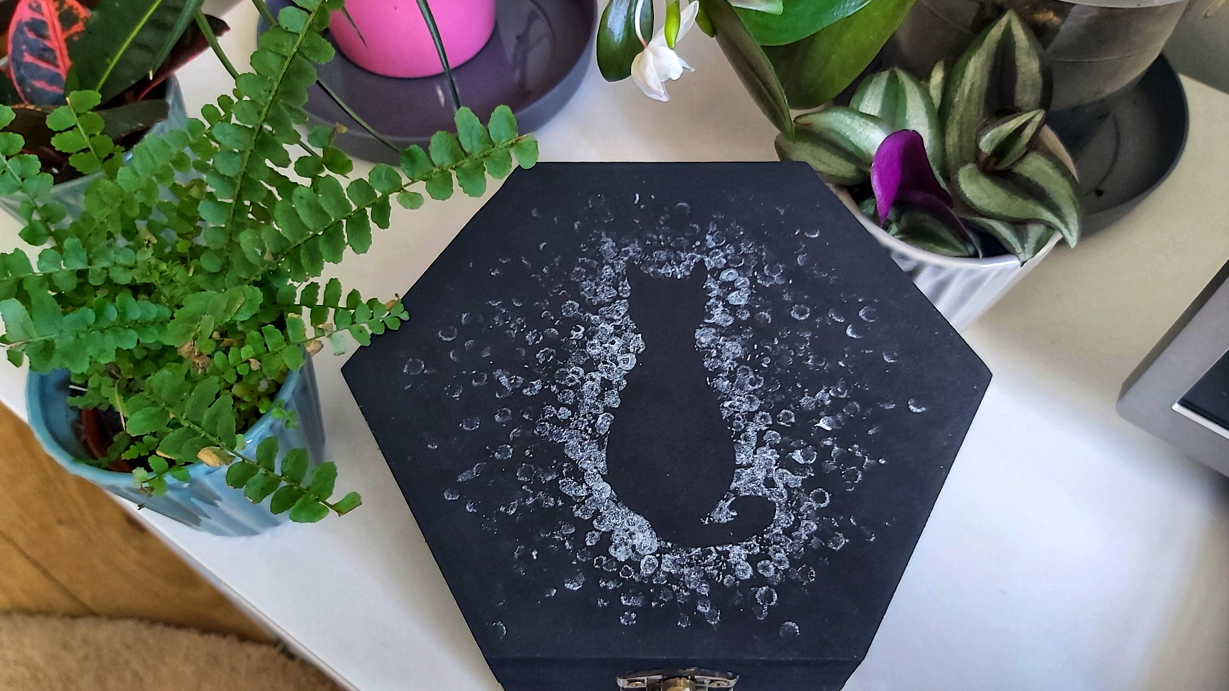 Finished DIY Painted Wooden Box - Cat