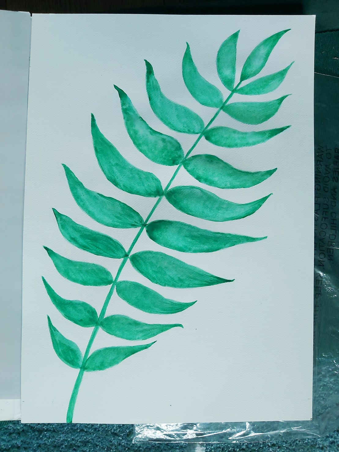 DIY Botanical Watercolour Paintings