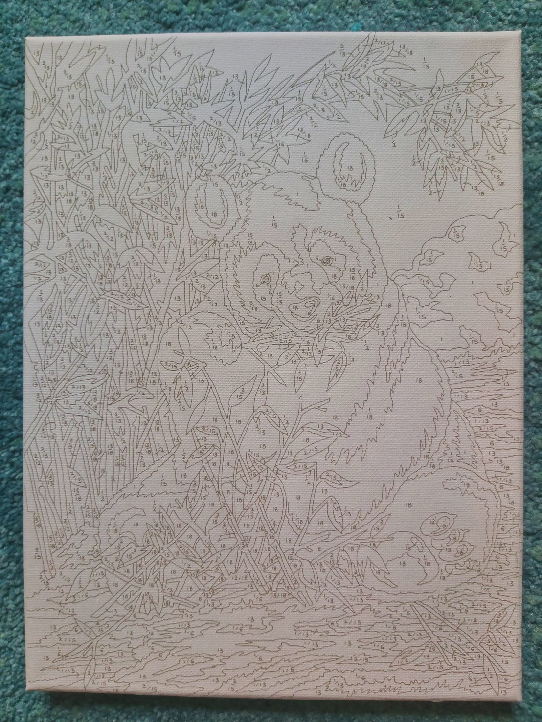 Adult Painting By Numbers Canvas - Panda - Blank