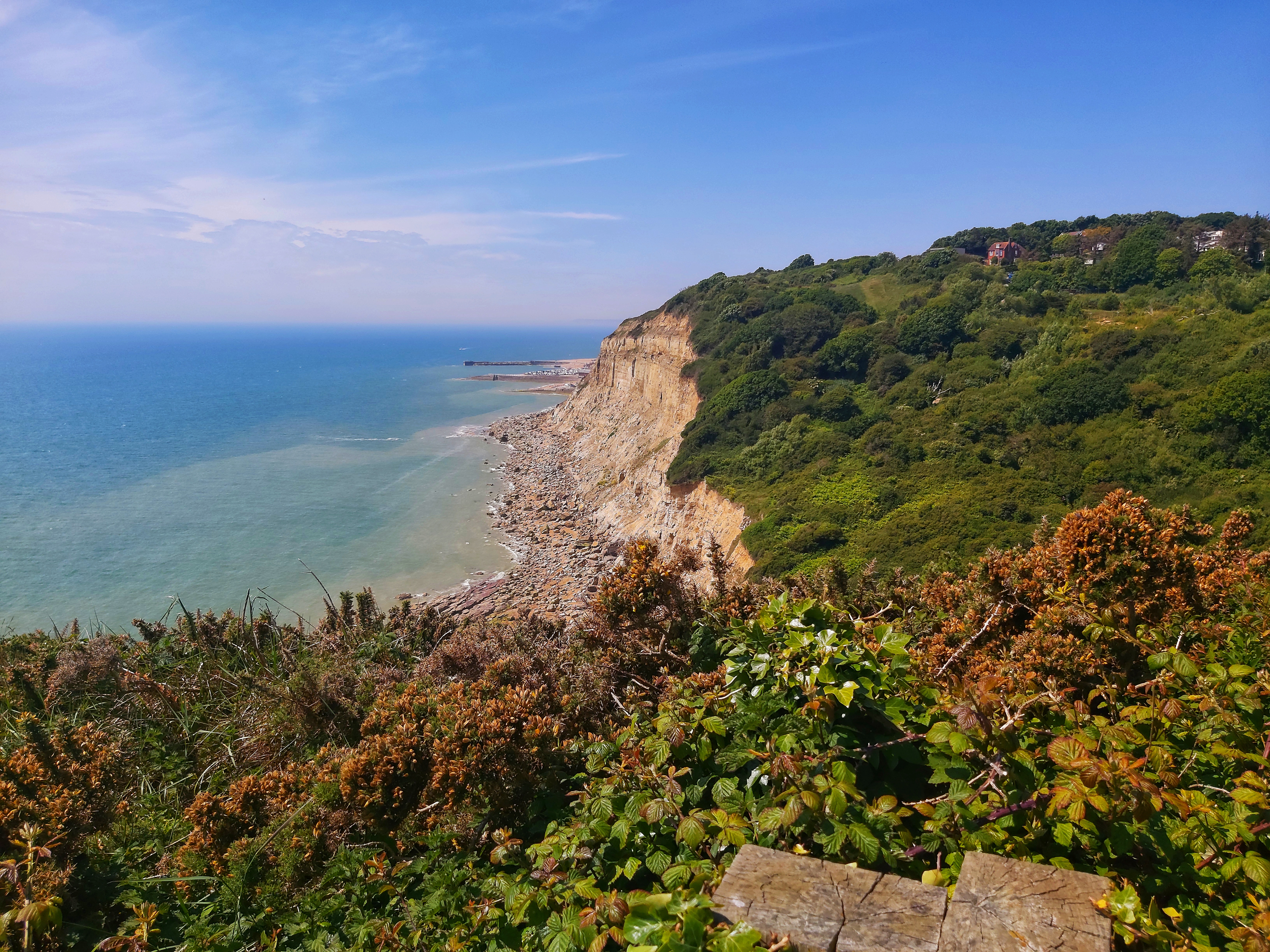 Hastings East Hill View