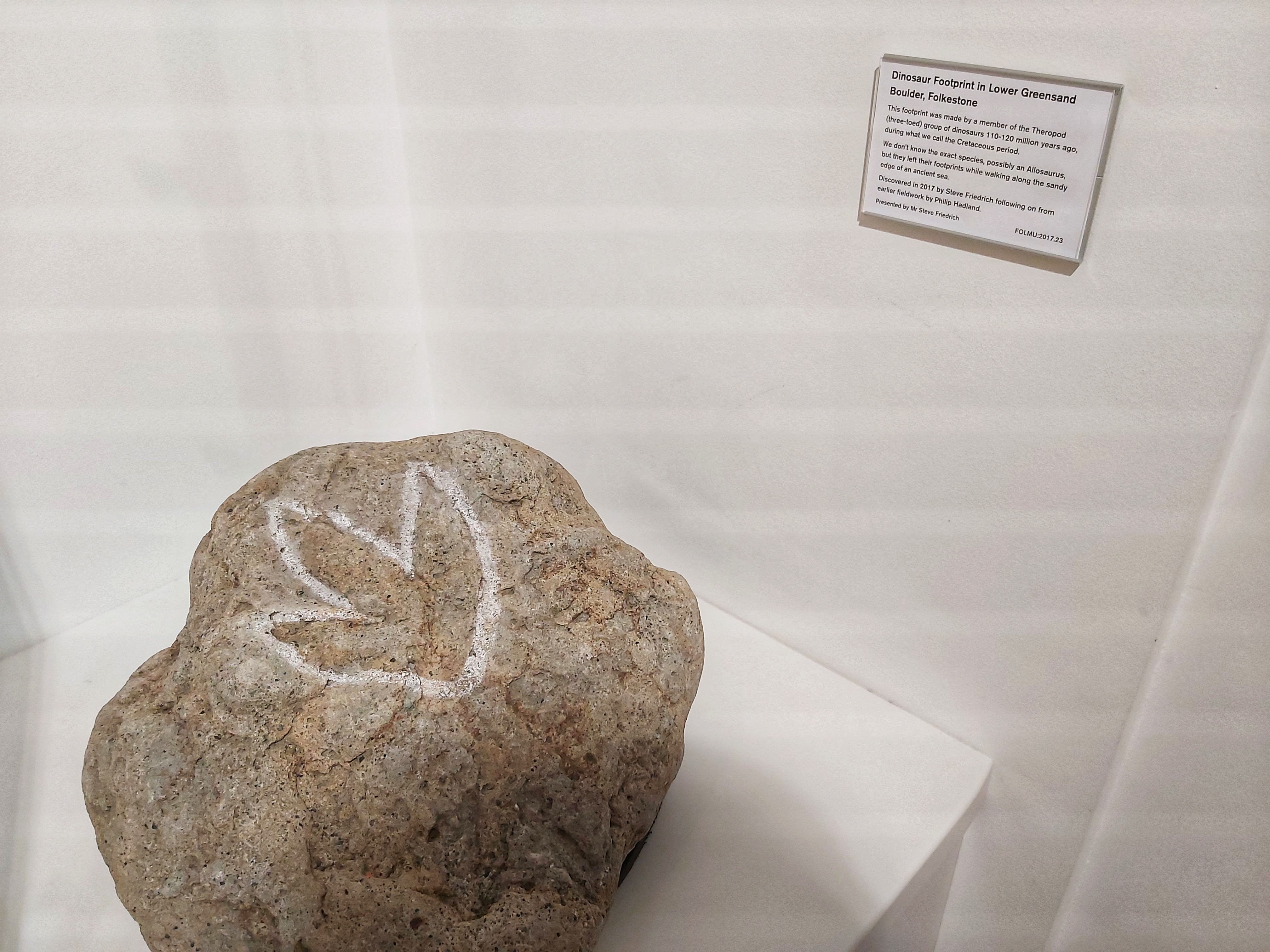 Folkestone museum dinosaur footprint