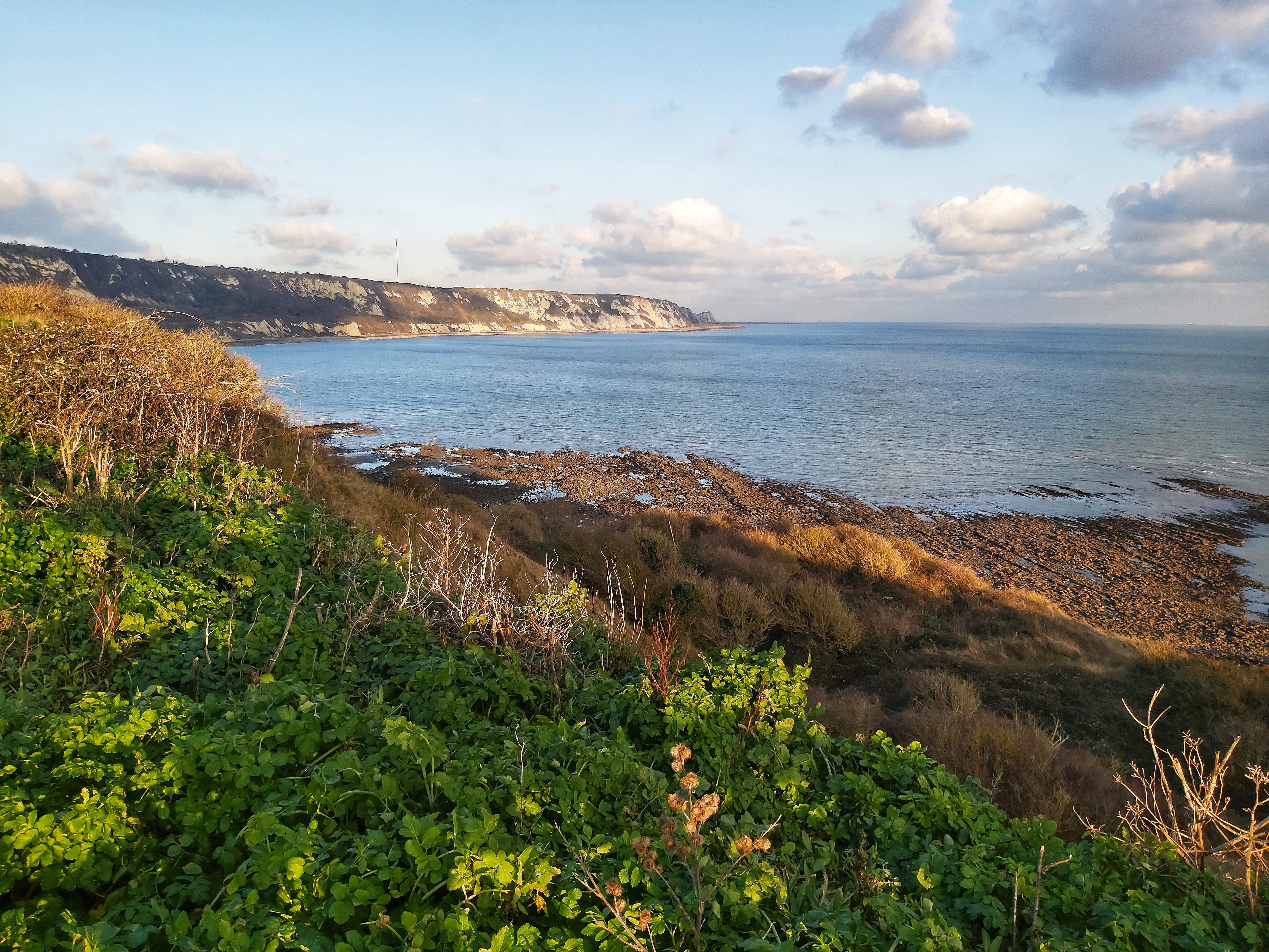 Folkestone the Warren