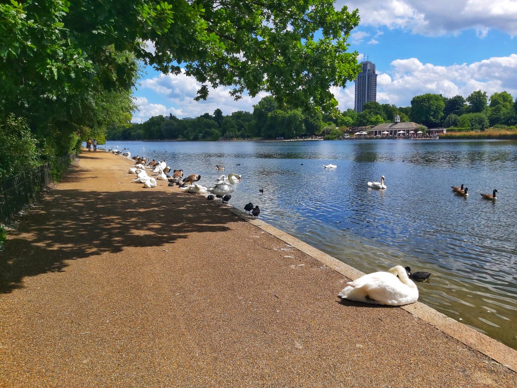 London Parks - Hyde Park - The Serpentine