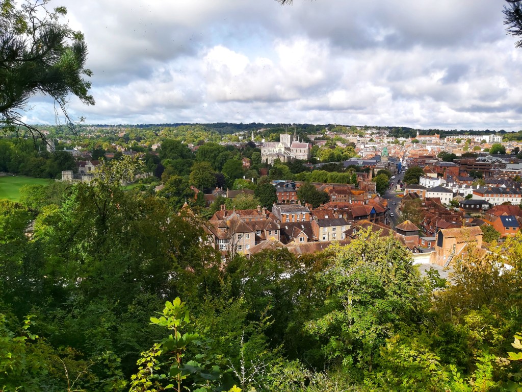 View from Winchester's St. Giles View Point. A panorama containing lots of green trees. You can also see the buildings in the town centre, including Winchester Cathedral.