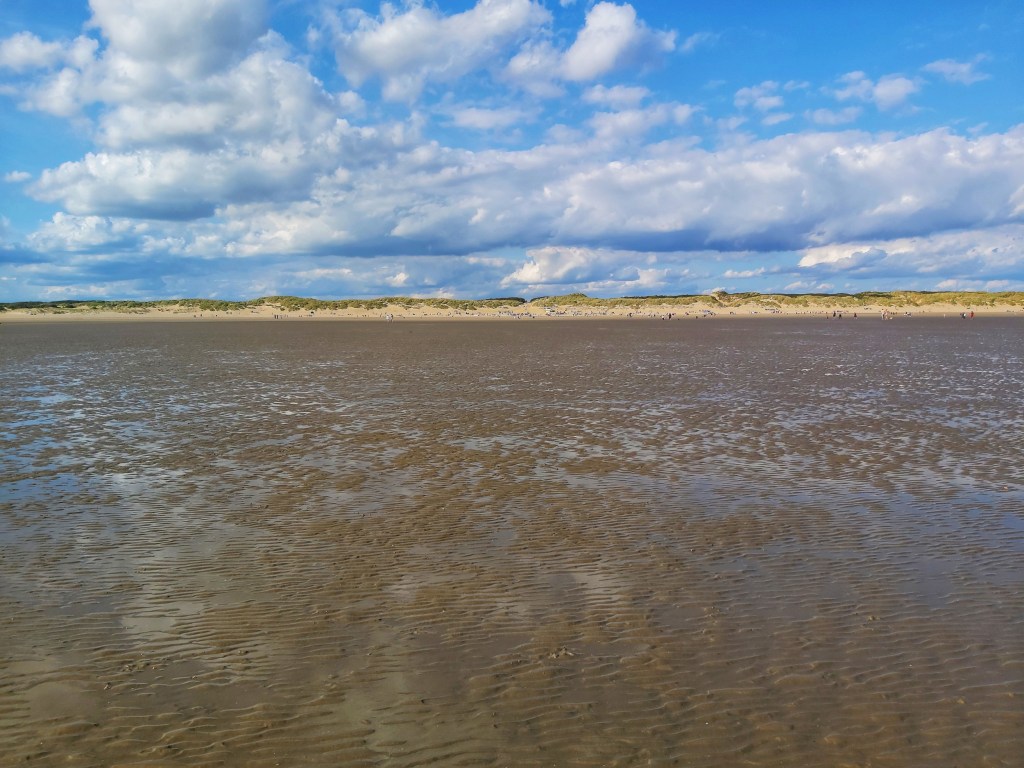 Low tide at Camber Sands. Picture taken from slightly wet sands at low tide a long distance from the beach.