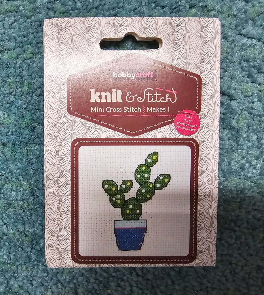 A box with a mini cross stitch kit that makes a cactus design.