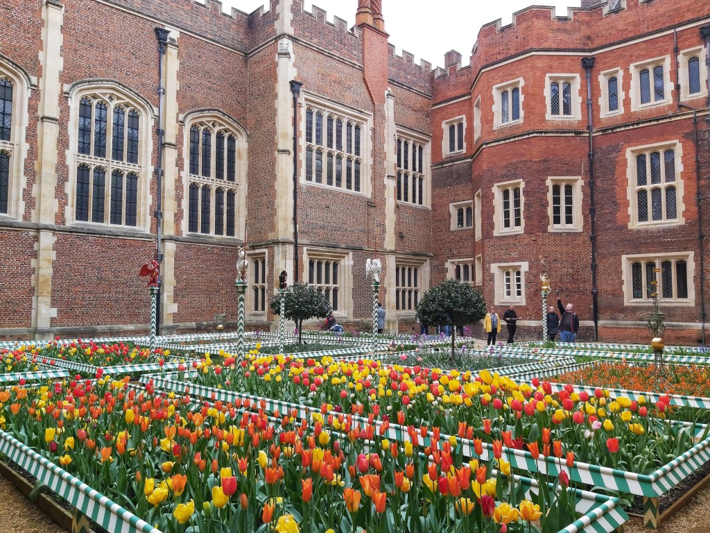Hundreds of yellow, orange and red tulips in rectangular flower beds in the gardens of Hampton Court Palace, in West London.