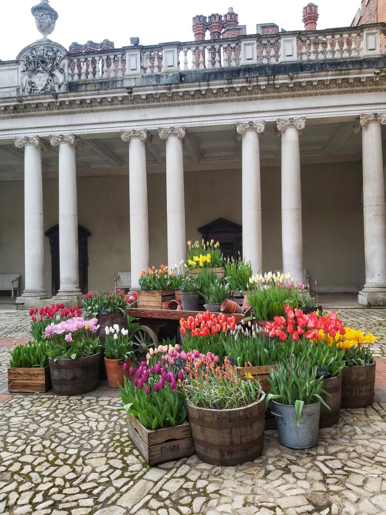 A display of colourful tulips in the patio of Hampton Court Palace, London.