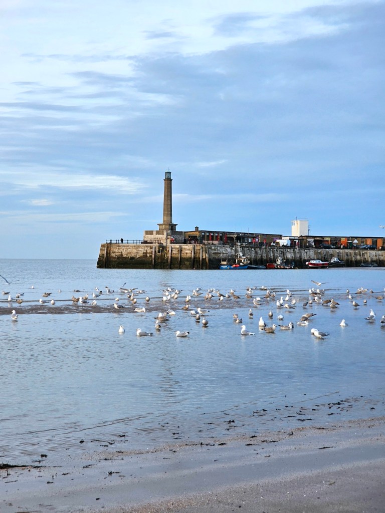 The lighthouse in Margate. Dozens of seagulls wading in the shallow waters. Blue skies reflected in the sea.
