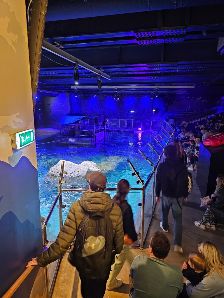 Auditorium at Sea Life Brighton. A large display fish tank surrounded with seating space. The auditorium is the arena of sea turtle and shark feedings.