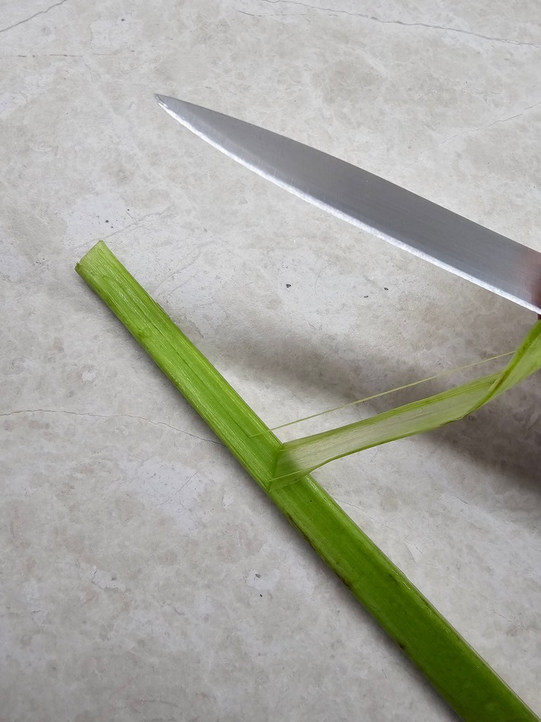 Rhubarb stalk being peeled.