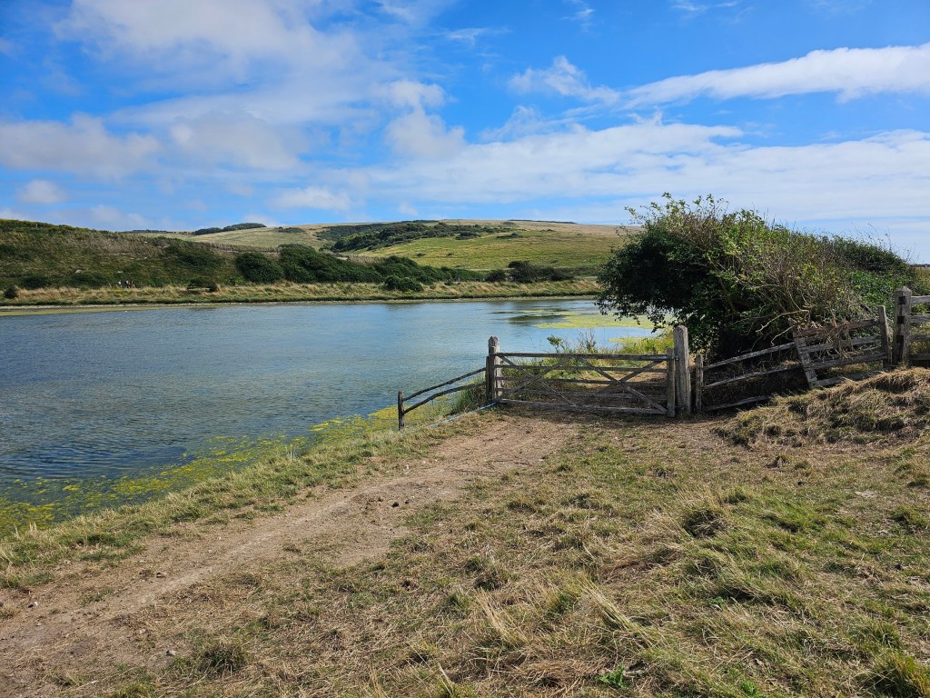 A pond at Cuckmere, near Seven Sisters. Grass-covered hills in the background.