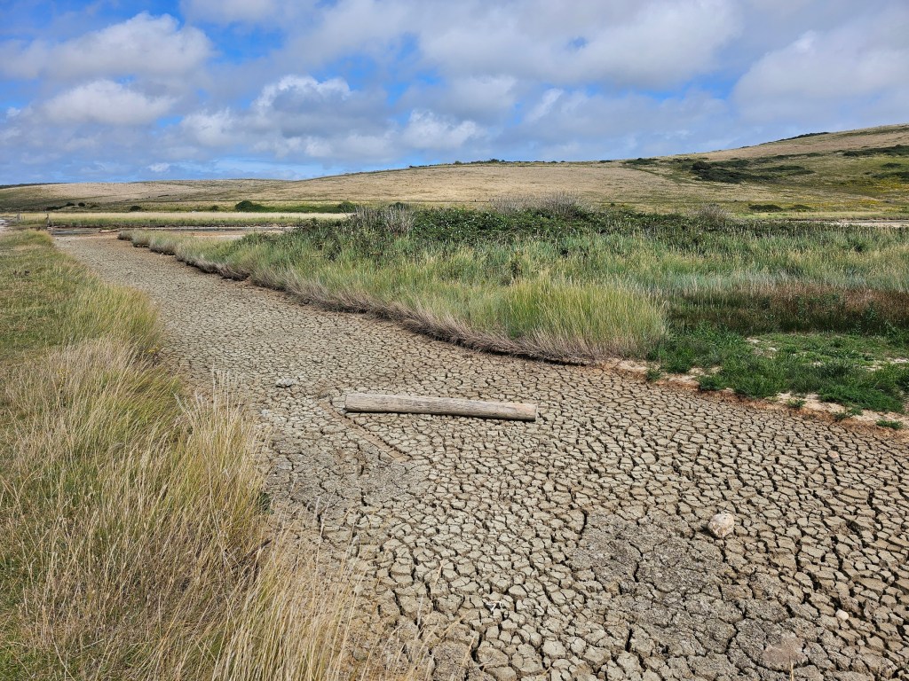 Dried up river at Cuckmere, near Seven Sisters. The ground is completely dry and cracked.