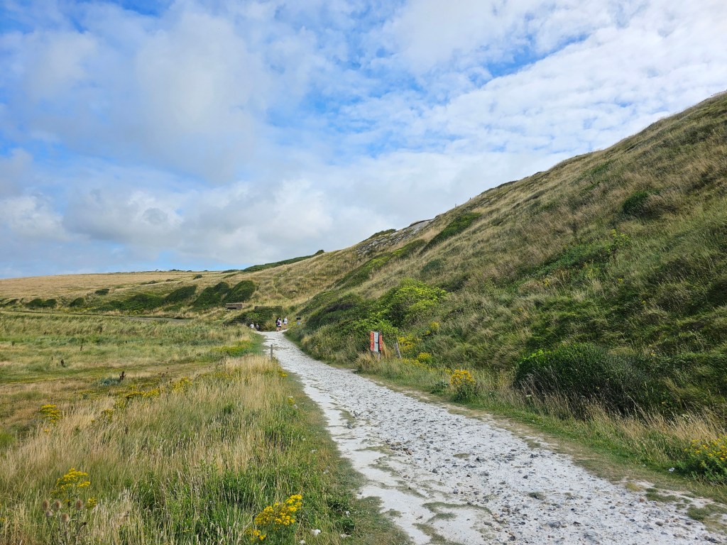 A chalk path running through the green plains at the foot of Seven Sisters cliffs.