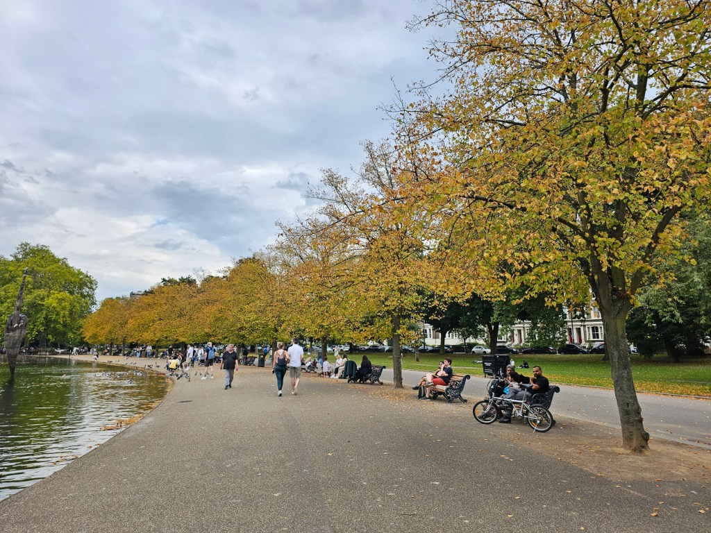 A row of trees with yellow leaves in Victoria Park, London, marking the end of summer.