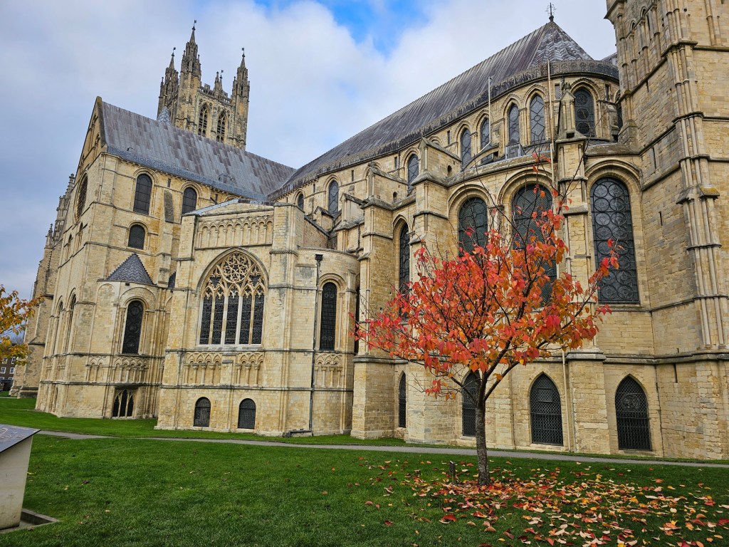 A colourful red-orange tree in front of Canterbury Cathedral
