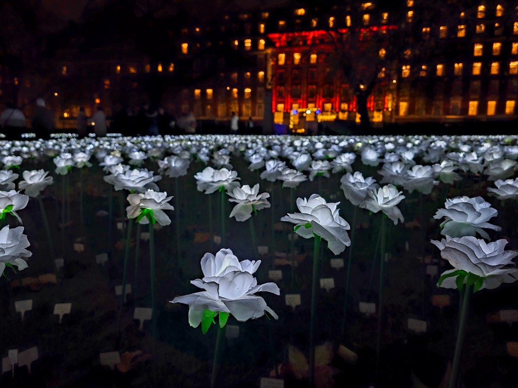 A field of lit up artificial white roses in London.