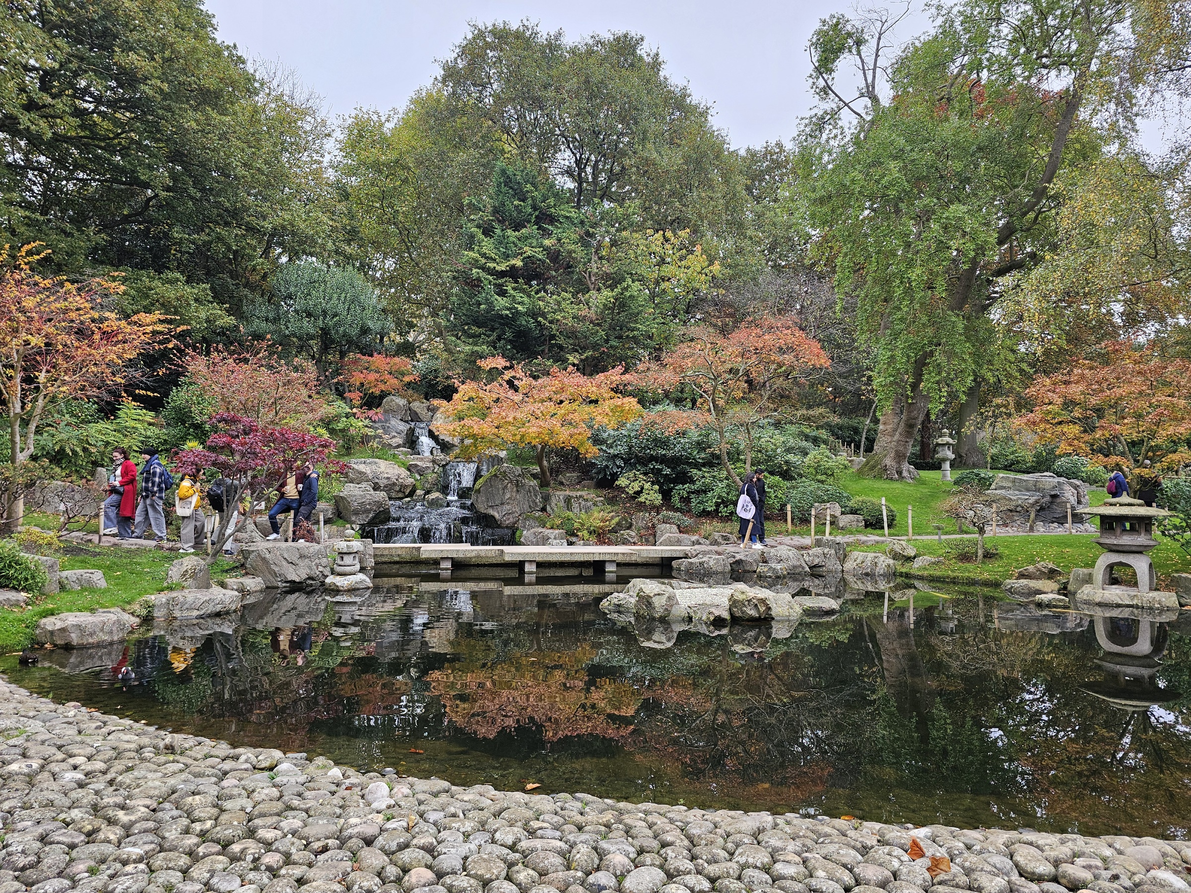 特売❗️リリパット269☆ ENGLISH GARDEN AUTUMN HUES 秋の英語単語ポスター 英語と日本語｜バイリンガル教材｜Twinkl子供