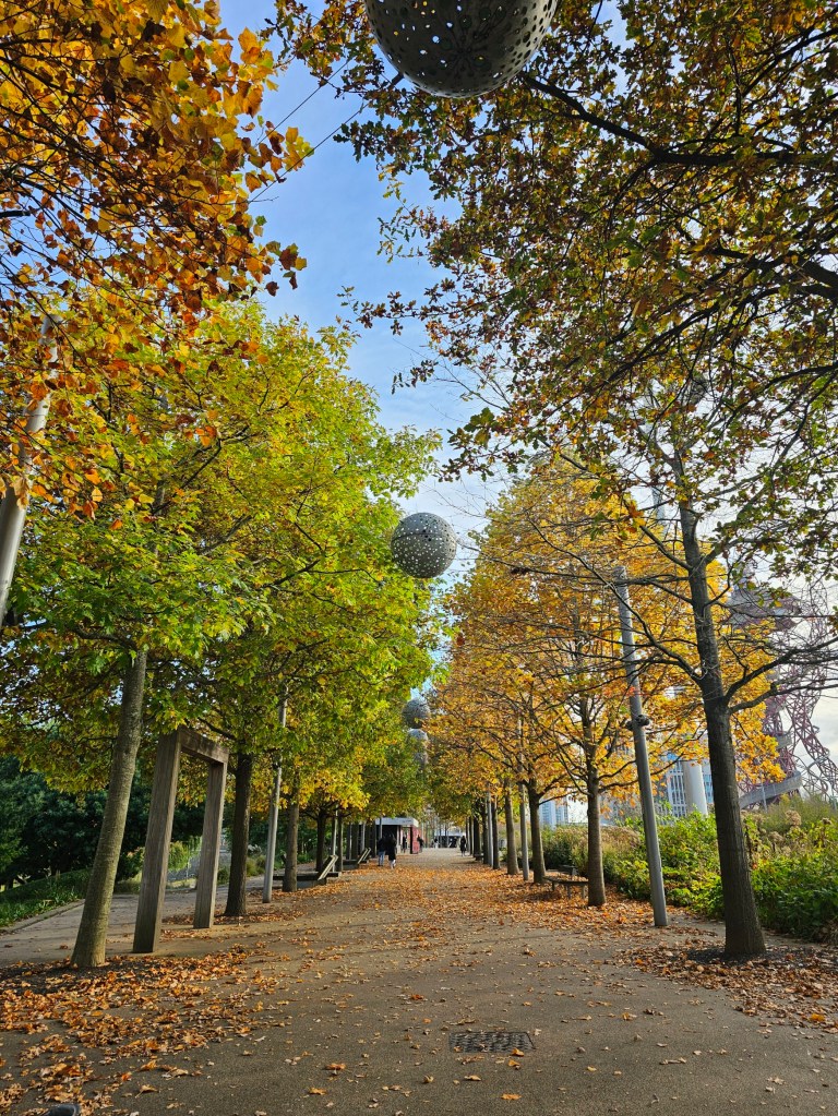 Two rows of orange trees in the Olympic Park in London, Stratford.