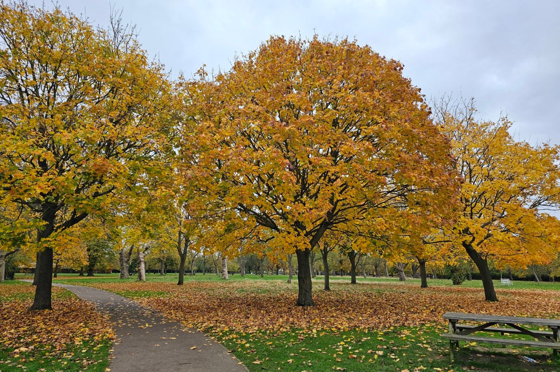 Autumn In England 2024 – London, Lake District,&nbsp;Kent