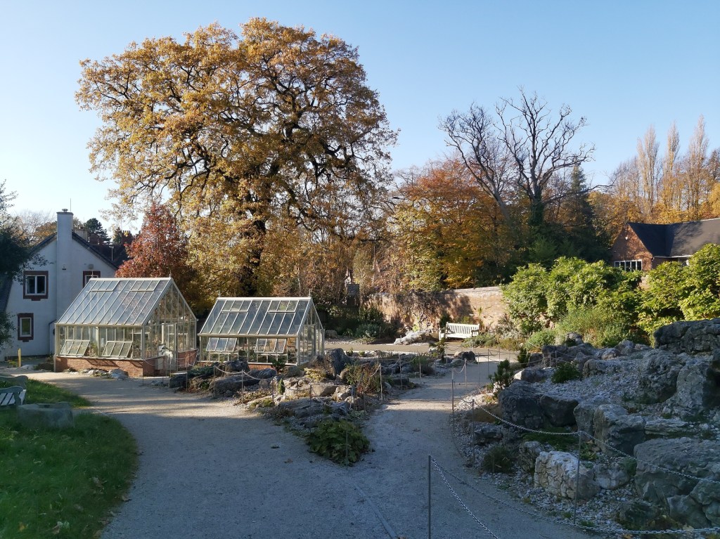Birmingham Botanical Gardens in the autumn.