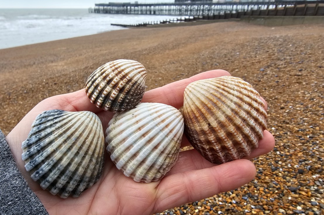 A Winter Day In Hastings,&nbsp;England