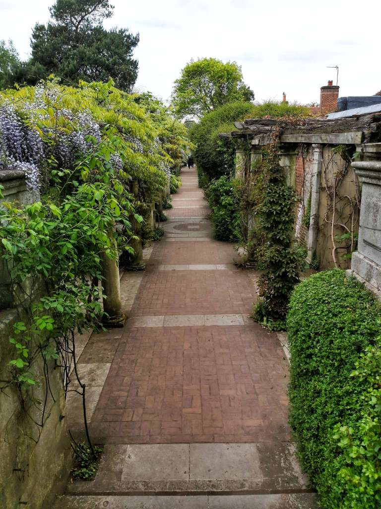 A passage with wisteria plants at Hill Garden and Pergola in London