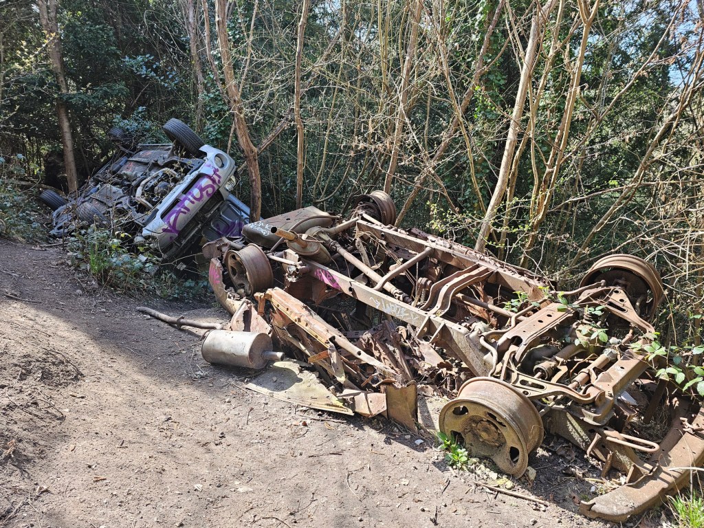 Two car wrecks in the bushes.