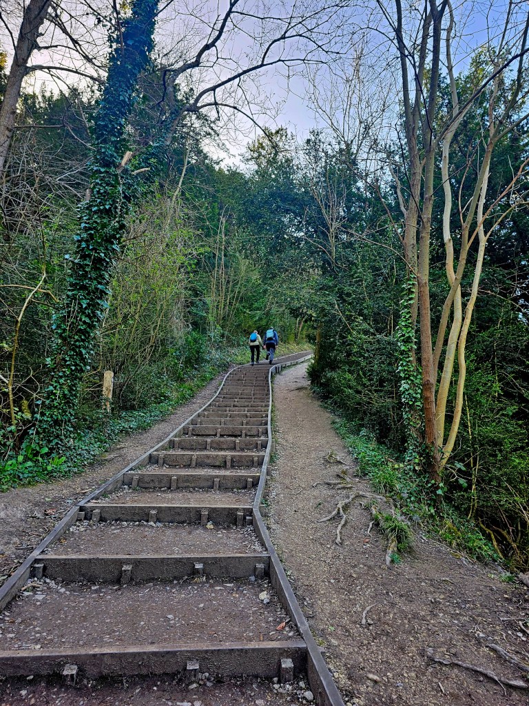 Steps on the way to Box Hill viewpoint.