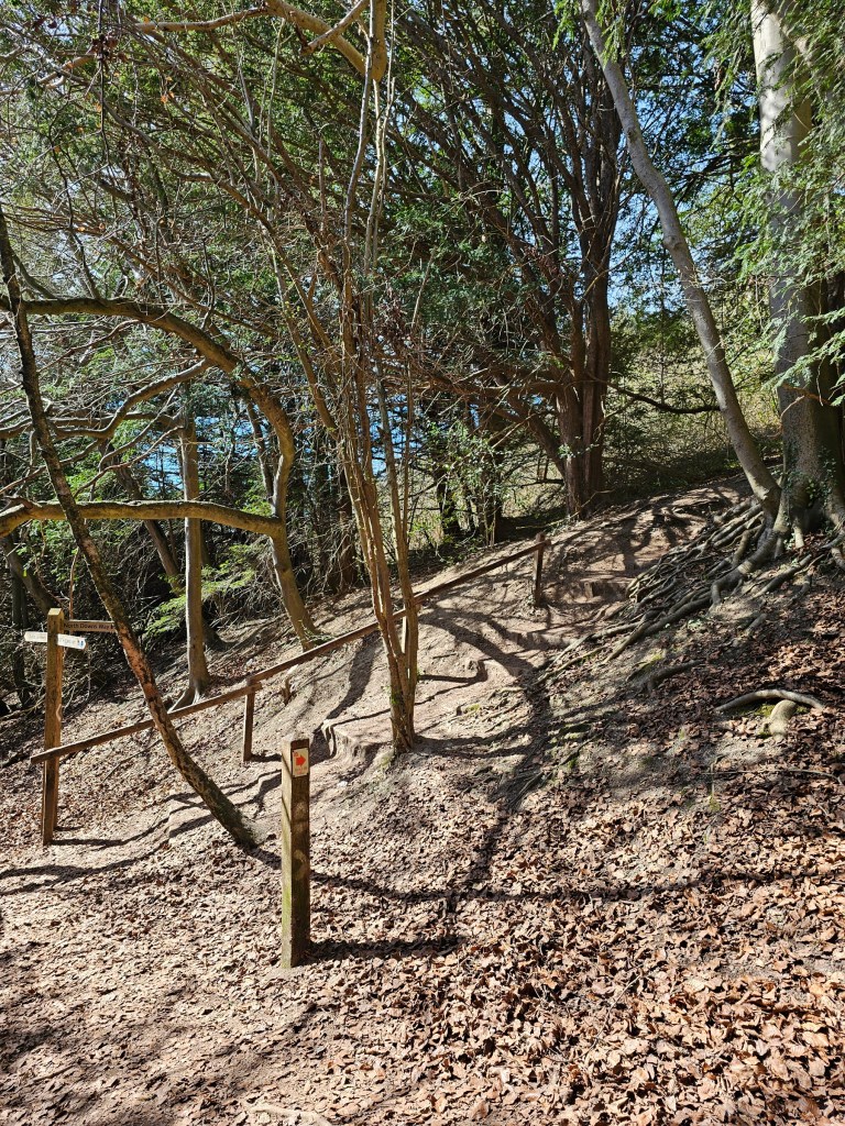 Steep part of the Box Hill Hike, with a wooden handrail.
