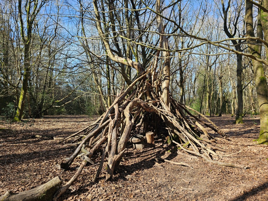 Tree branches leaning on a tree to form a hide.