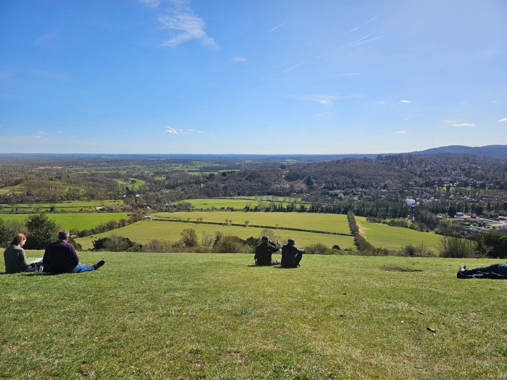 The view from the top of Box Hill.