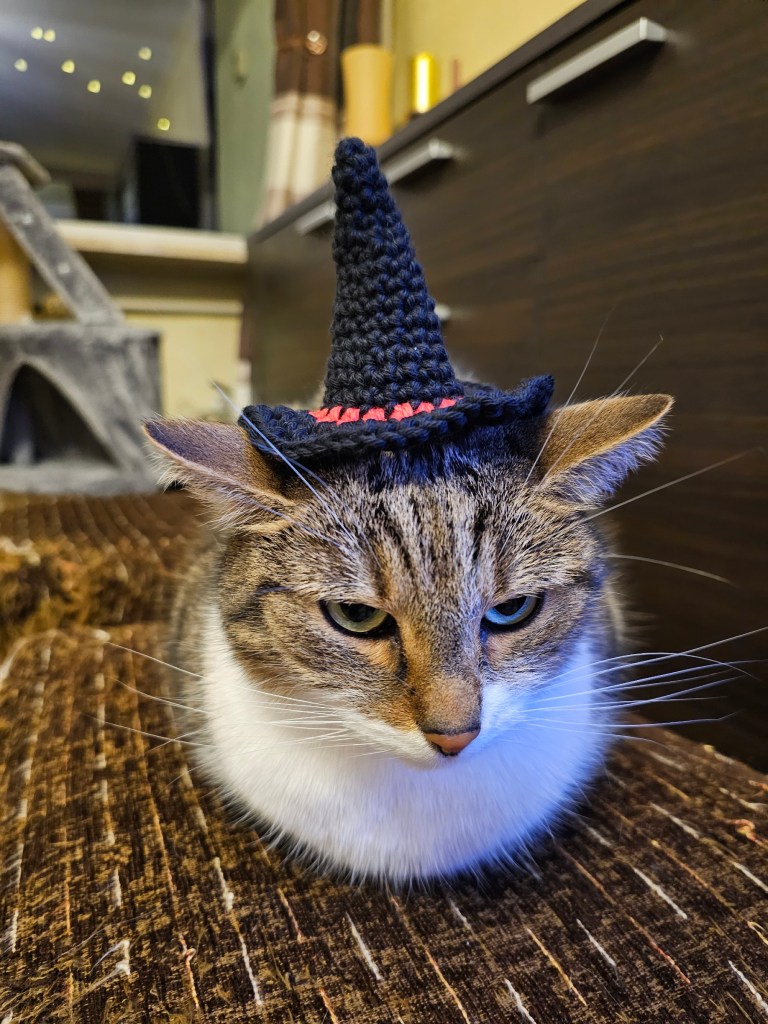 Black crocheted small witch's hat with a red stripe, worn by a cat.