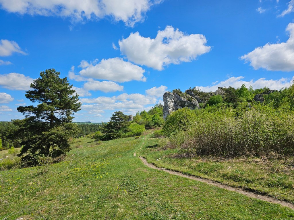 Countryside path between Mirów and Bobolice Castles.
