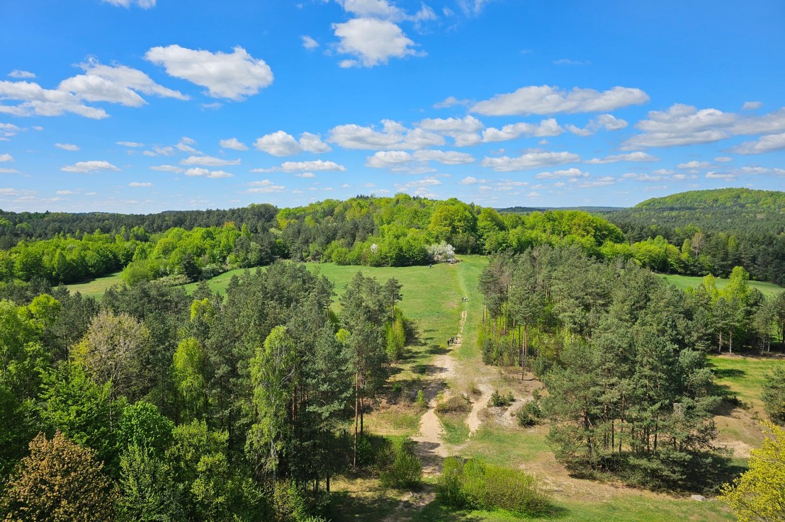 New Year’s Resolutions 2025 – 6 Month Check&nbsp;In