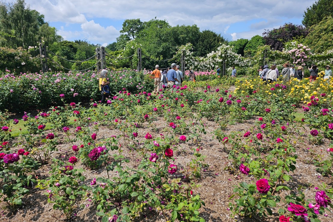 15+ The Best Gardens In London (Free To Visit) – Flowers, Wisteria, Green&nbsp;Spaces