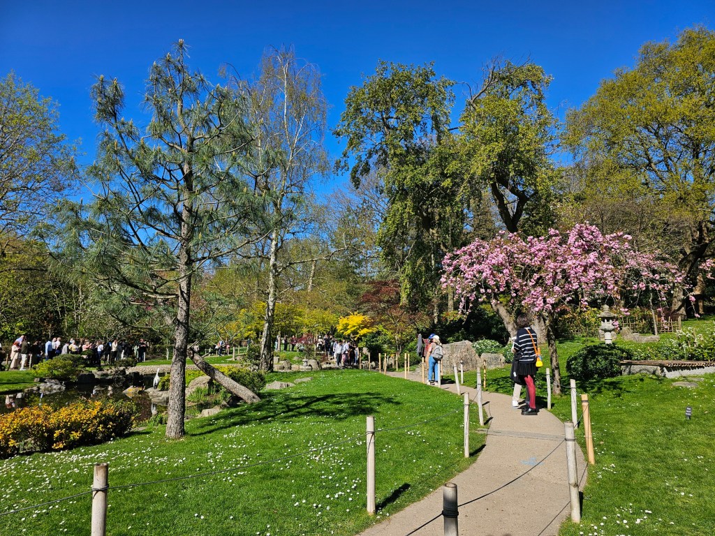 Japanese Garden in Holland Park, London, during spring.