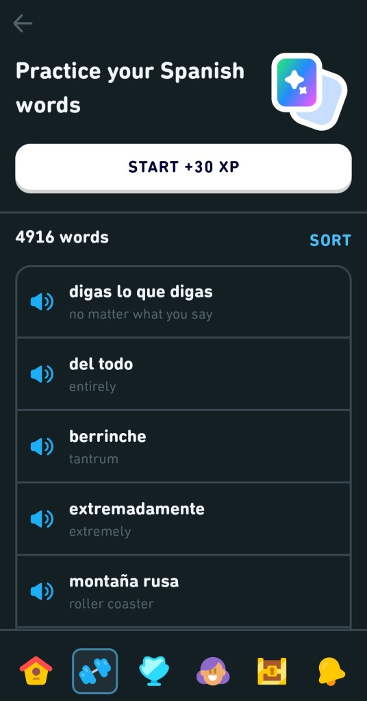 Vocabulary section in Super Duolingo