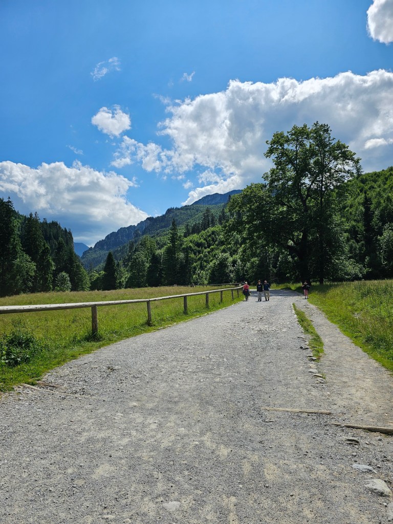 A flat, wide path in Koscieliska Valley.
