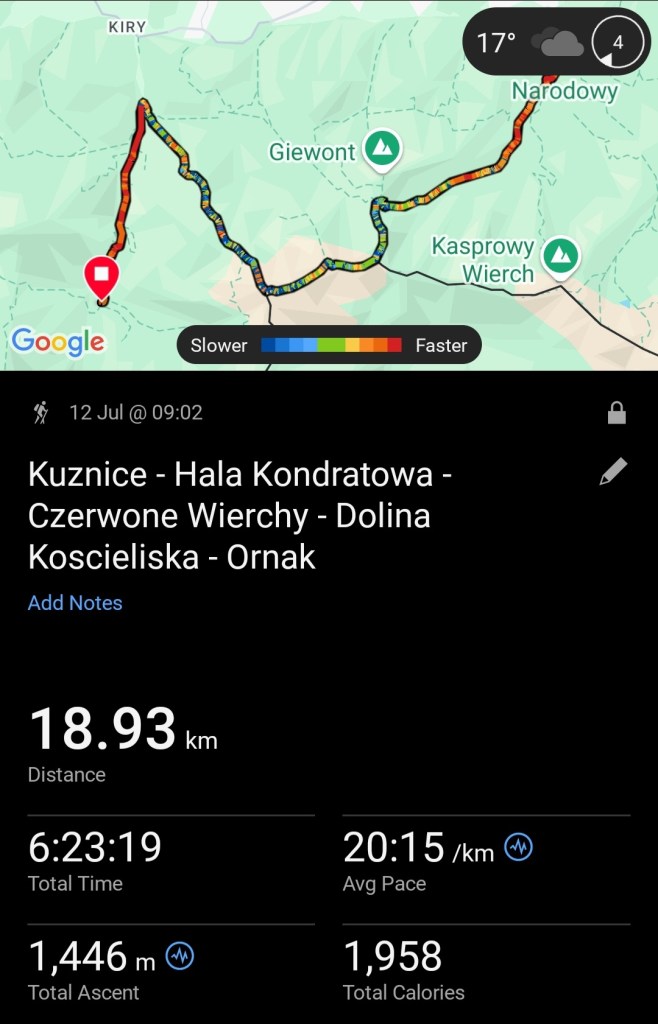 Summary of hiking activity from Garmin smartwatch