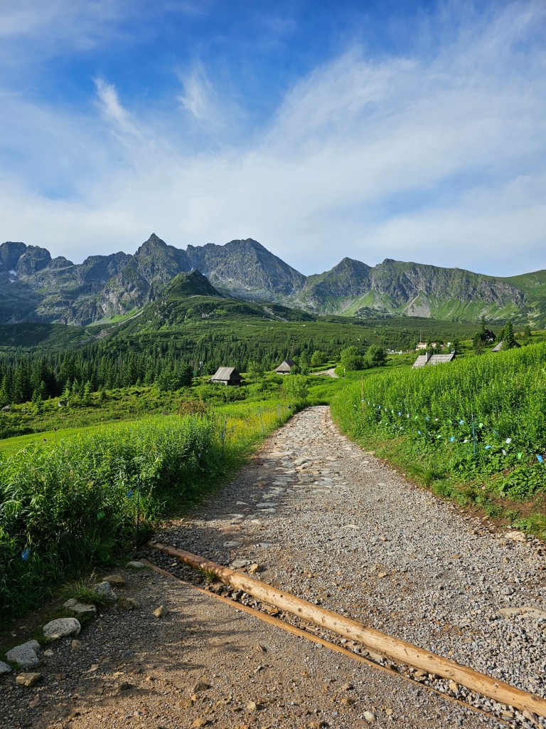 A path through Hala Gasienicowa. Vast green meadows, a few wooden huts and tall, rough mountains in the background.